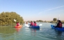 File photo of people kayaking at the mangroves belt in Al Thakira used for representation. 