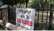 Delhi zoo has been temporarily shut down after nine birds die due to flu. (Ritam Halder/HT?Photo).