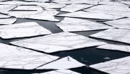 A adelie penguin on pack ice in the Ross Sea in Antarctica, the world's largest marine reserve aimed at protecting the pristine wilderness. AFP/ANTARCTIC OCEAN ALLIANCE/JOHN WELLER 