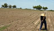 An Uzbek farmer tills a cotton field outside Tashkent, May 20, 2005 (AFP Photo/Denis Sinyakov)