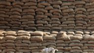 A dog stands on the heaps of sacks filled with paddy at a wholesale grain market in Chandigarh, India, November 18, 2016. REUTERS/Ajay Verma