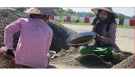 Women sort small rocks from bigger ones while building a road on the outskirts of Meiktila, central Myanmar, November 18, 2016. TRF/Zoe Tabary