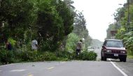 People remove a fallen tree from the road in Cienaguita, Limon, 160 kilometres east of San Jose, where the arrival of Hurricane Otto is expected in Costa Rica, on November 24, 2016.  AFP / EZEQUIEL BECERRA
