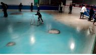 The handout picture taken in November 2016 and released on November 28, 2016 shows people skating on an ice rink with 5,000 frozen dead fish inside at the Space World amusement park in Kitakyushu, southwestern Japan. AFP PHOTO / SPACE WORLD