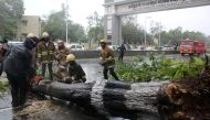 Rescue members cut a tree that fell on a road after it was uprooted by strong winds in Chennai, India, December 12, 2016. REUTERS/Stringer 