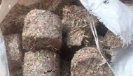 Briquettes of shredded notes (Photo courtesy: Gulf News) 
