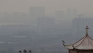 A bird is seen on the top of a pavilion in heavy smog in Qingxu, China's Shanxi province, December 24, 2016. REUTERS/Jason Lee
