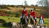Members of the New Forest Hunt gather at Boltons Bench for the annual Boxing Day hunt in Lyndhurst, southern England, Britain December 26, 2016. Since a ban stopped fox hunting with hounds, hunts continued with dogs chasing down a pre-laid scented trail i