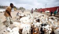 Goats are driven to the Kiamaiko market on March 26 2016 (Photo courtesy: Jack Owuor / the-star.co.ke)