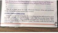 An experiment in an Indian textbook was apparently supposed to help schoolchildren learn that living, breathing things need air. (Federation of Indian Animal Protection Organizations)