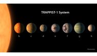 This handout artist's conception released by the European Southern Observatory on February 22, 2017 shows a size comparison of the planets of the TRAPPIST-1 system, lined up in order of increasing distance from their host star. AFP PHOTO / ESO/NASA/R. Hur