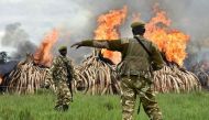FILE PHOTO: Kenya Wildlife Services rangers stand guard around illegal stockpiles of burning elephant tusks, ivory figurines and rhinoceros horns at the Nairobi National Park on April 30, 2016 (AFP)