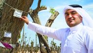 An official showing a donated tree.