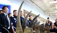 Rhino horns are displayed during a news conference at the Suvarnabhumi International Airport in Bangkok, Thailand March 14, 2017. REUTERS/Athit Perawongmetha