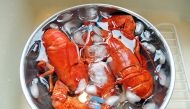 Upholding a sentence by a lower court, the Cassation court ruled that the fact that lobsters are usually cooked while still alive does not mean they can be mistreated beforehand. Photo courtesy: manfuelblog com