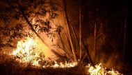 Fire on the side trees of CM1099 road, near IC8 in Portugal on June 18, 2017. A forest fire has claimed 61 lives in Portugal, the country's National Civil Protection Agency revealed on Sunday. / ( Andre Alves - Anadolu Agency ).