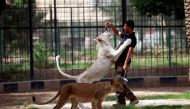 A keeper feeds a white lion at Al Zawra zoo in Baghdad, Iraq June 15, 2017. Picture taken June 15, 2017. Reuters/Khalid al-Mousily