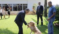 Lebanese President Michel Aoun (C) plays with a dog in the garden of the Baabda presidential palace on August 29, 2017, after signing the country's first animal welfare bill into law in the presence of representatives from welfare group Animals Lebanon wh