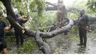 A 70-member team from the State Disaster Response Force and two teams consisting of 60 personnel from the National Disaster Response Force have been sent to Kanyakumari district to take care of rescue and relief operations, he said. (Photo courtesy:  All 