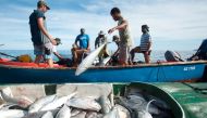 Fishermen pulling in fish caught in their nets off the coast of Mahe in the Seychelles islands on February 21, 2018. (AFP / The Nature Conservancy / Tate Drucker) 