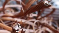 The stoppage would affect production at a mine where 5 percent of the world's copper is produced.