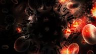 HIV virus picture used for representation purposes.