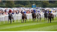 Action from the Juddmonte International Stakes (Gr1), at York yesterday.