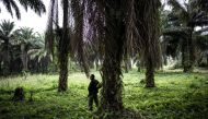 A soldier from the the Armed Forces of the Democratic Republic of the Congo (FARDC) standing in position outside an FARDC camp during a patrol in Beni on November 13, 2018.  AFP / John Wessels 

 
