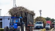 A photo taken on November 22, 2018, shows trucks carrying sugarcane at Omnicane Savannah Sugar Factory in l'Escalier, Mauritius. AFP PHOTO / LA SENTINELLE/BEEKASH ROOPUN/