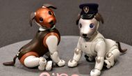 Versions of Sony's puppy-sized robot dog 