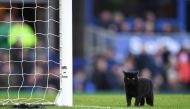 A black cat is seen on the pitch as it stops play during the English Premier League football match between Everton and Wolverhampton Wanderers at Goodison Park in Liverpool, north west England on February 2, 2019. AFP / Paul Ellis