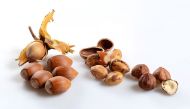 Ripe hazelnuts (Photo courtesy: Simon A Eugster/Wikimedia Commons/CC BY-SA 3.0)   