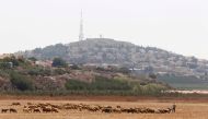 A herd of sheep graze near the Lebanese-Israeli border in Kfar Kila village, southern Lebanon, August 24, 2015. Reuters/Aziz Taher