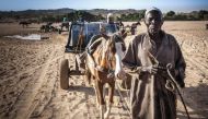A hawker looks on after filling barils with water in the wadis Moura in Hadjer Hadid, in the Ouaddaï region, in eastern Chad, on March 24, 2019.  AFP / Amaury Hauchard 