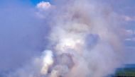A picture taken on July 1, 2019 shows smoke rising from a forest fire near Jessenitz. - Germany OUT / AFP / dpa / Jens Büttner
 