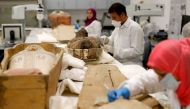 Egyptian archaeologists restore the coffin and mummy of King Tutankhamun at the conservation center in the Grand Egyptian Museum in Cairo on August 4, 2019.   AFP / Khaled DESOUKI

