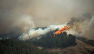 Flames rise from a forest fire raging in Montana Alta on the island of Gran Canaria on August 18, 2019.  / AFP / DESIREE MARTIN 