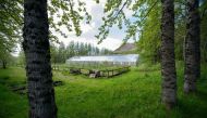 A greenhouse in Mogilsa Forest is pictured close to Reykjavik, Iceland on May 21, 2019. AFP / Halldor Kolbeins