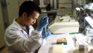 This photo taken on August 23, 2019 shows laboratory official Nguyen Viet Hoang examining mosquito samples at the National Institute of Hygiene and Epidemiology in Hanoi. AFP / Nhac Nguyen