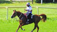 Al Shaqab rider Mohammed Khalifa Al Sowaidi astride Sa’ada Al Shaqab during the FEI Meydan World Endurance Championship - Young Horses 2019 in Italy.