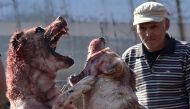 Central Asia's shepherd dogs (alabay) take part in a dogfight in the arena in the Kyrgyztan capital Bishkek on October 20, 2019. AFP / Vyacheslav Oseledko
