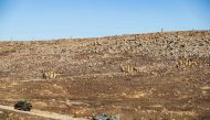 Russian and Turkish military vehicles take part in a joint patrol near the town of Al-Muabbadah in the northeastern Syrian Hassake province on the border with Turkey, on November 8, 2019. AFP / Delil Souleiman 