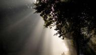 The sun cuts through the morning fog as a commuter on a bicycle makes his way through the Tiergarten park in Berlin on October 10, 2018. AFP / Odd Andersen