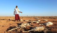 An internally displaced man looks at the carcasses of his goats and sheep in the outskirts of Dahar town of Puntland state in northeastern Somalia, December 15, 2016. Reuters/Feisal Omar 