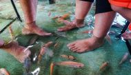 TOPSHOT - This picture taken on November 15, 2019 shows fish nibbling at the feet of Indonesian diners having their lunch at a fish pool restaurant at Wedomartani village in Yogyakarta./ AFP / OKA HAMIED 
