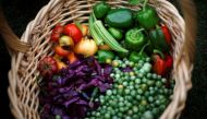 Freshly harvested vegetables are shown in a basket after they were picked during the fall harvest of the White House Kitchen Garden at the White House in Washington, October 20, 2010. Reuters / Jason Reed