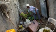 Farmer Rose Marie Fidele, 73, tends to the few plants she can coax to grow in a little urban space behind the home she shares with her son and his family near Caracol, Haiti, December 10, 2019. Handout by Allison Shelley