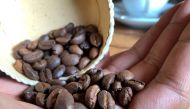 Jacques Ramarlah, a farmer and agricultural entrepreneur displays samples of Bourbon pointu coffee variety at the Kafen Drazana packaging factory in Ampefy town of Itasy region, Madagascar January 24, 2020. Picture taken January 24, 2020. REUTERS/Clarel F