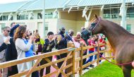 The SOHOM group and ambassadors were in awe of the exceptional facilities and the magnificent Arabian horses of Al Shaqab.  