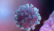 A computer image created by Nexu Science Communication together with Trinity College in Dublin, shows a model structurally representative of a betacoronavirus which is the type of virus linked to COVID-19
